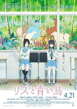 国产精品视屏