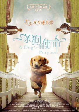 国产激情一区二区三区四区