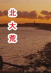 3dnagoonimation在线