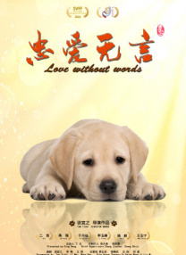 精品福利视频在线观看